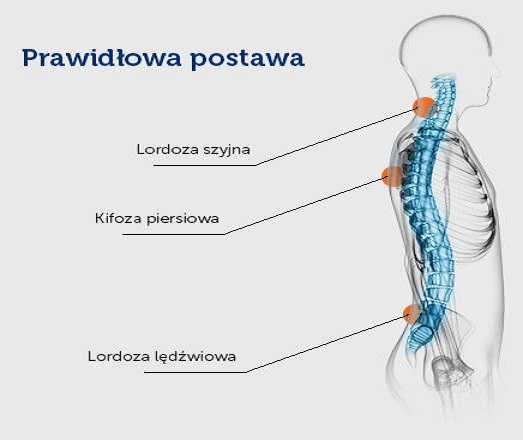 prawid__owa_postawa.jpg